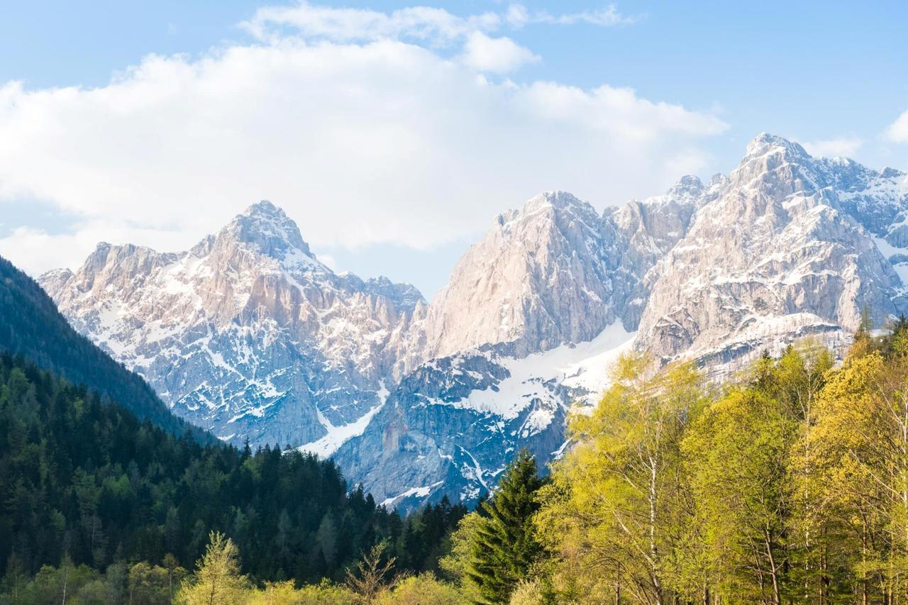 Villa Planina Kranjska Gora Ngoại thất bức ảnh