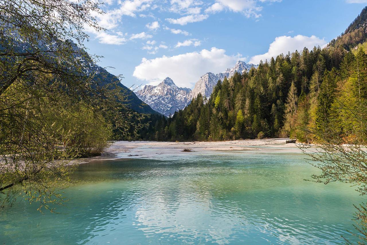 Villa Planina Kranjska Gora Ngoại thất bức ảnh